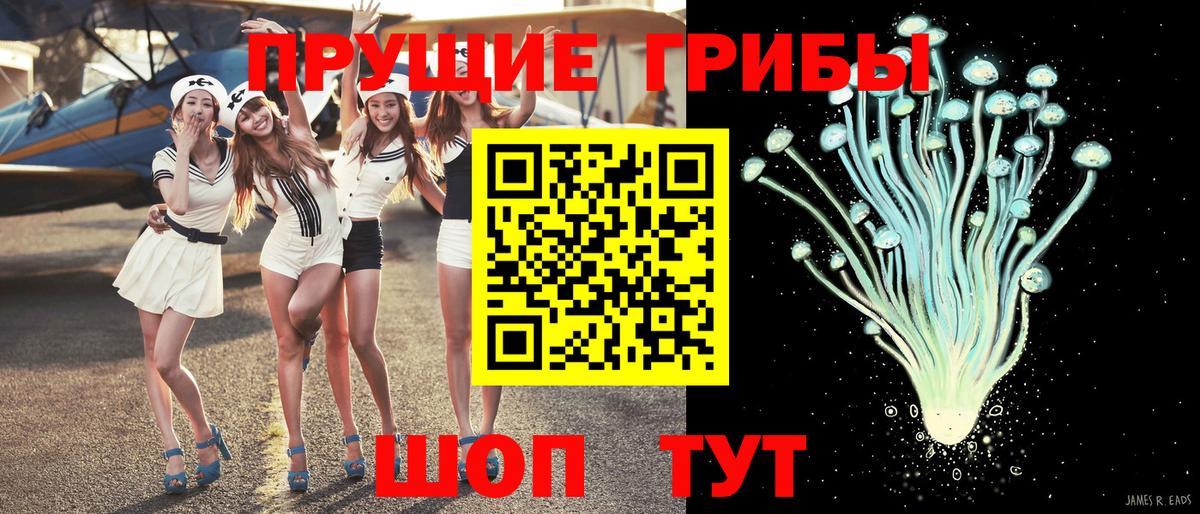Псилоцибиновые грибы GOLDEN TEACHER Дальнереченск