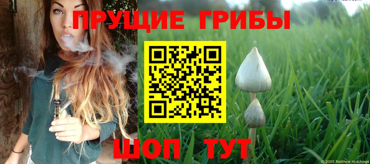 Дальнереченск  Галлюциногенные грибы мухоморы  Вход с VPN 